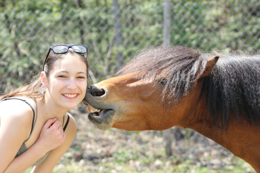 étalon, poney. cute cute titi le poney!:D