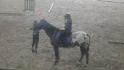 Cours avec loulou<3