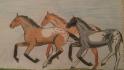 pintaloosa