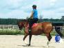 Dino et moi durant une leçon d'équitation