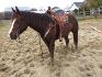 Mon petit Cash and Dash