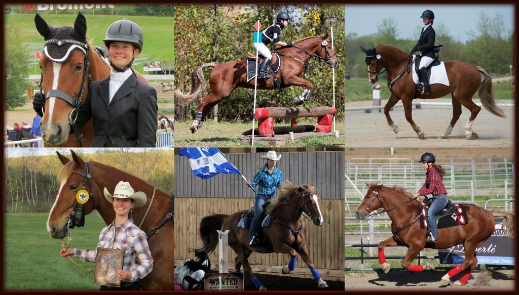 Classique ou Western team pony!? J'ai hâte de voir les dates des...