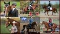 Classique ou Western team pony!? J'ai h&acirc;te de...