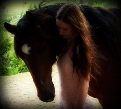 Hongre, quarter horse, bai. mon beau tucker 10 ans et moi
