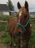 Mon beau Loki <3
