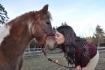 Ma petite ponette Catin &#9829; Facebook: Aly,Casey&Catin