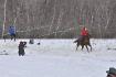 Compétition de Ski Joring