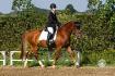 Jolie photo sur mon gros poney! Dressage au concours complet &agrave;...