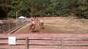 Horseball!