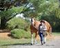 Serious temptation et moi apha aqha enr. de 4 ans. 