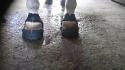 Bottes