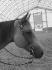 Ma belle Jessie :)