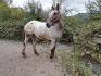 Aramis prend la pose
