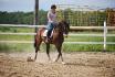 Cavalière et cheval à l'entrainement à l'extérieur