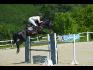 Cavalier sautant un obstacle avec un cheval