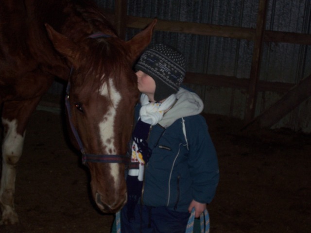 étalon. Mon fils de 5 ans 1/2 avec son ami notre étalon de 5 ans 1/2.....