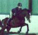Mon cheval Bailey's et moi en cours la semaine...