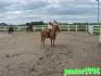 mOii et mOn juju :) Junior1996 ? --> MOn skyblog...