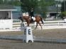 Blainville 8 juin  Moi et Moonshadow,entrainement...