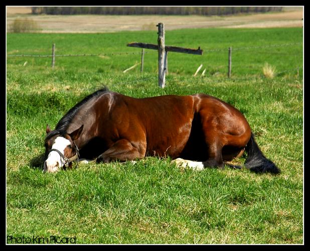 Maginifiquee photoo de bluee Encoree une foiss prisee PAr Kimm!