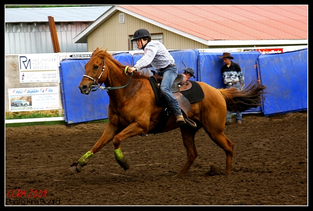 MOi Et MOn Cheval WilD As Carry. photo prise par *K!m*