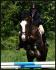 Perceval a l'obstacle en ce 25 juin !...