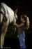 Contact " Le Cheval et l'enfant "  Ahhh ce genre...