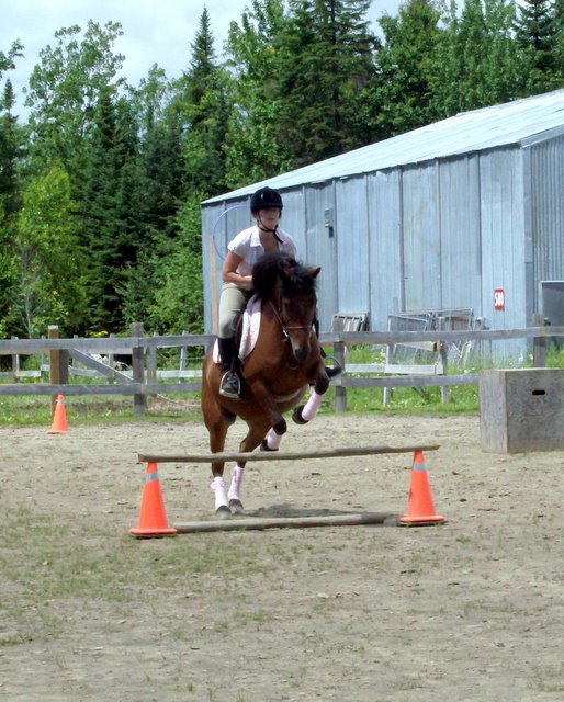 Cherios et moi en entraînement d'obstacle le 11 juillet !
