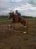 Flying Pete