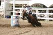 Sir Lancelot Time Royal 2008