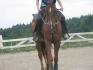 Shadow mon amour de cheval