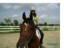 le beau Hubert apres un petit entreinement de dressage