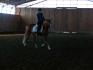 Entrainement d'un cheval dans un manège sombre