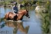 Baignade bien méritée avec Sir D'Auteil, après un super cours
