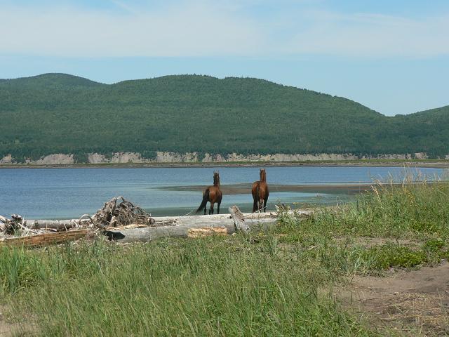 James et hurricane libre sur le plage de Sandy beach!!