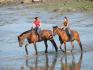 Ballade au fleuve a cheval