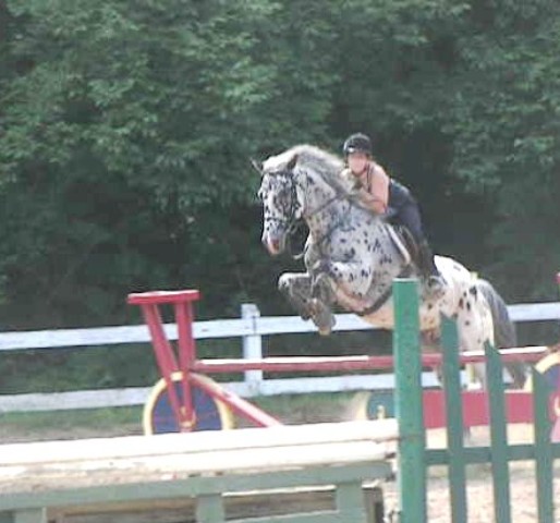 Moi et Oreo ^^