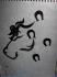 un tattoo que jai dessiné. Tribal_horse