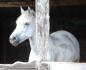 ma louloute