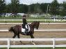 Concours de dressage, Écuries O'Neill-Rondo