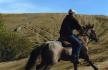 Chavalier sur cheval dans le sable