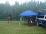 Dany et Chic au campement