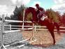 Aramisse sur son 1,55M.... franchement j'aimerai être un cheval...