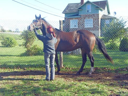 Shilo
