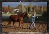 Mon cheval et moi ! ^^