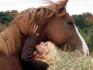 Mon poulin de RÊVE !! Je t'aime Never =D
