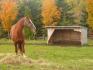 Une photo qui fait 'automne'.