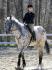 Cheval blanc tacheté noir et sa cavalière