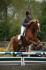 Mon Facile et moi en concours .