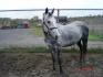 Mon Ziggy :)